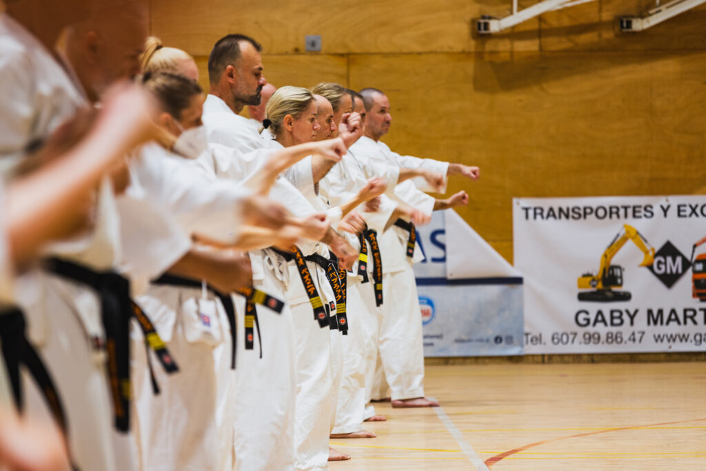 karate dla doroslych